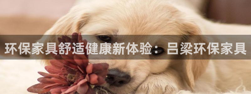杏耀平台测