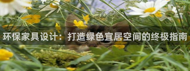 杏耀登陆电脑线路测速