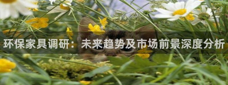 杏耀平台网站是什么