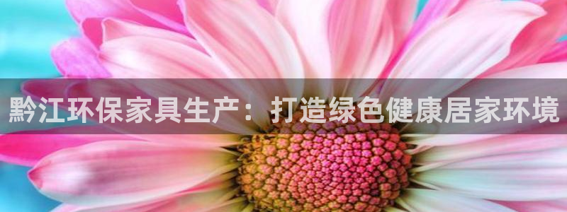 杏耀主管qq